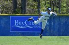 Baseball vs Babson  Wheaton College Baseball vs Babson during Championship game of the NEWMAC Championship hosted by Wheaton. - (Photo by Keith Nordstrom) : Wheaton, baseball, NEWMAC